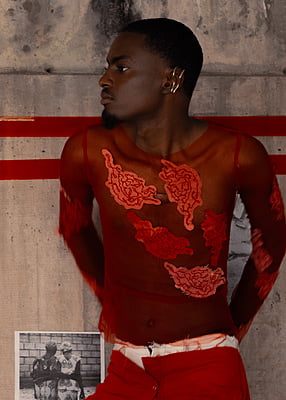 Isi Agu Appliqué Mesh Top Isi Agu Appliqué Mesh Top